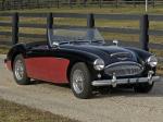 Austin-Healey 3000 BN7 1961 года (NA)